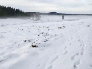 Přečtete si více ze článku Na Kvildě – Perle mráz pod -30 °C