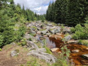 Přečtete si více ze článku Roční zpráva o hydrometeorologické situaci v České republice v roce 2025